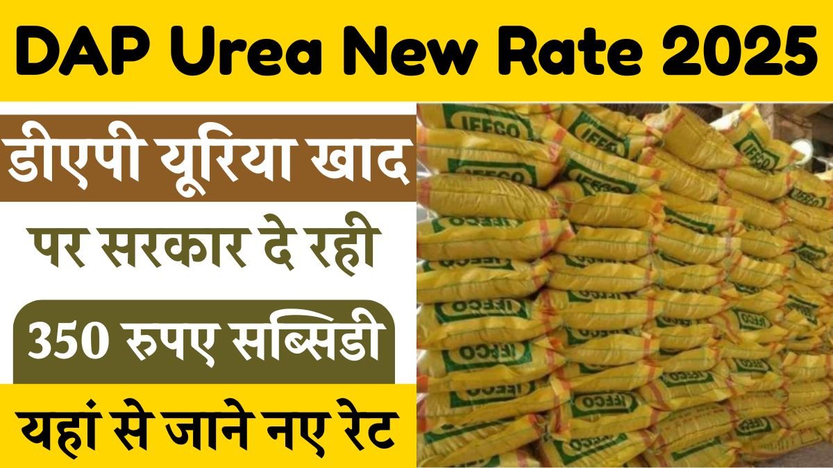 DAP Urea New Rate 2025