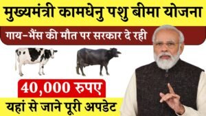 mukhyamantri kamdhenu pashu bima yojana